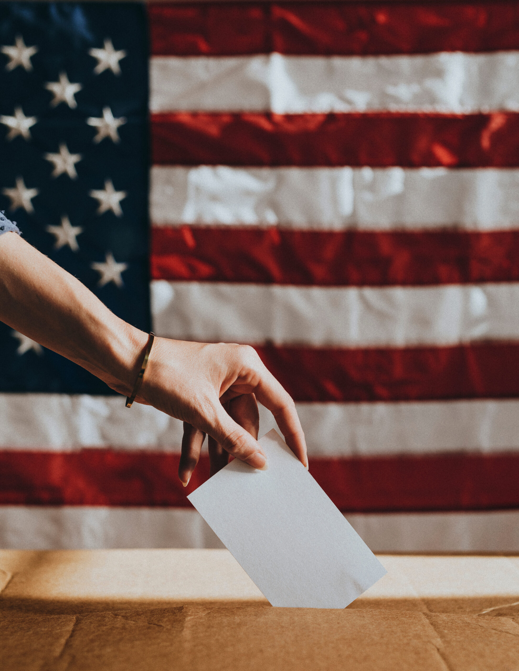 American democracy voting poll